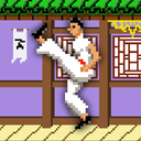 Master of Kung Fu