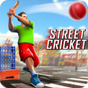 Street Criket-T20 Cricket Game