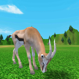 Deer animal hunting 3d sniper