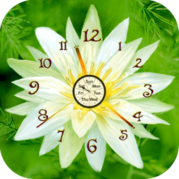 Neon Flower Clock Live Wallpaper