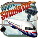 Virtual Flight Simulator