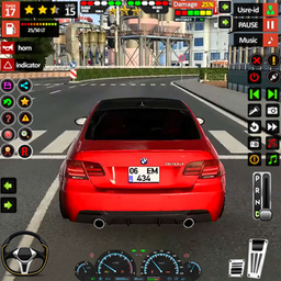 Real Car Driving Car Parking