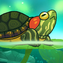 Pondlife — Fish, Frogs & More!