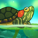 Pondlife — Fish, Frogs & More!