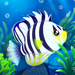 Splash — Fish Aquarium