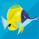 Splash — Fish Aquarium