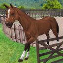 Virtual Pet Shelter-Animal Sim