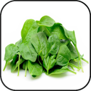 Miracle spinach