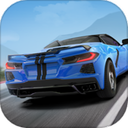 Real Highway Car Racing