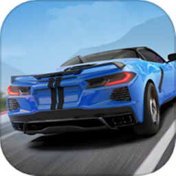 Real Highway Car Racing