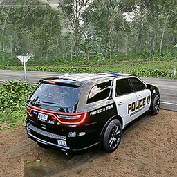 US Police Prado Parking 3D