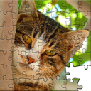 Kittens Jigsaw Puzzle