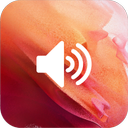 Ringtone for S21 to S25