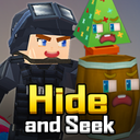 Hide and Seek