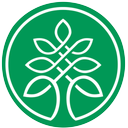 فرش سروستان