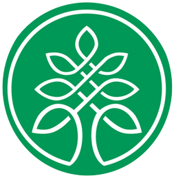 فرش سروستان