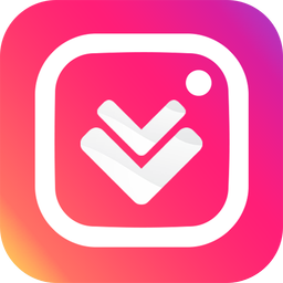 Video Downloader - Story Saver