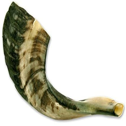 ساز شوفار