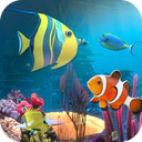 Aquarium Fish Live Wallpaper 2018: Koi Backgrounds