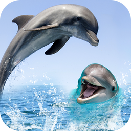 Dolphin Live Wallpaper 3D: HD Background 2018
