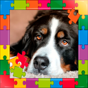 Puzzles game