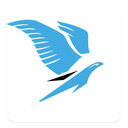 Video downloader for twitter