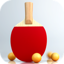 Virtual Table Tennis