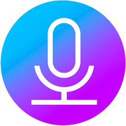 Voice Recorder