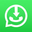واتساپ       status