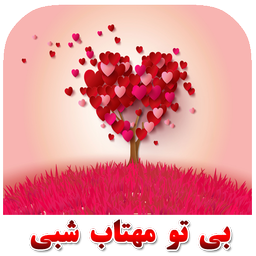 بی تو مهتاب شبی