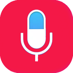 ضبط صدا حرفه ای