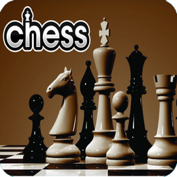 شطرنج حرفه ای