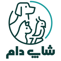 شاپ دام