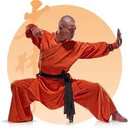 shaolinkongfu