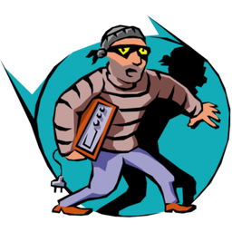 فوضولگیر، دزدگیر آژیری و عکسبردار