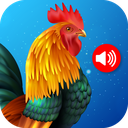 Animal Ringtones
