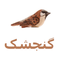گنجشک