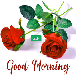 Good Morning Love Images GIF