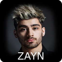 Zayn:wallpapers,puzzle