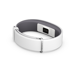 SmartBand 2 SWR12