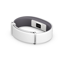 SmartBand 2 SWR12