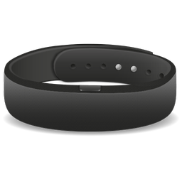 SmartBand SWR10