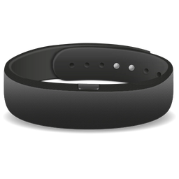 SmartBand SWR10