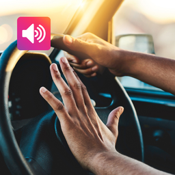 Car Horn: Ringtone & Sounds