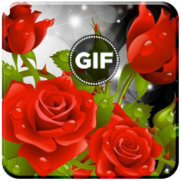 Rose GIF