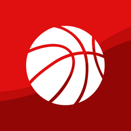 Superfan Sports Pro Basketball