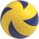 Volleyball Video & Training