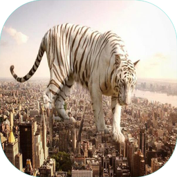 خلاقیت در فتوشاپ