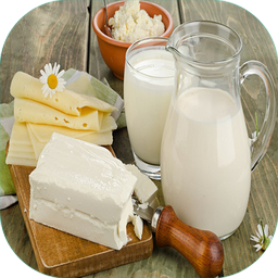 تهیه لبنیات در خانه