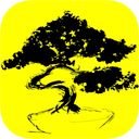 بونسای درخت مینیاتوری